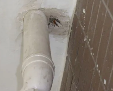 渭南漏水检测哪家好